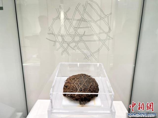重庆最早巴文假名胜文物展出